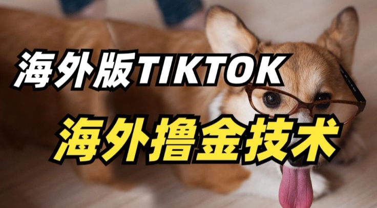 抖音海外版tiktok撸金技术，这个风口行业，赚钱真的不难,速发云资源网