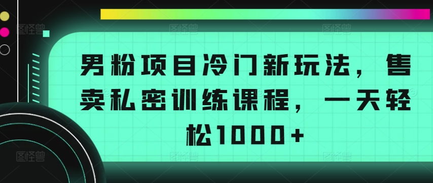 男粉项目冷门新玩法，售卖私密训练课程，一天轻松1000+,速发云资源网