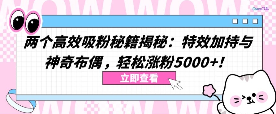 两个高效吸粉秘籍揭秘：特效加持与神奇布偶，轻松涨粉5000+,速发云资源网