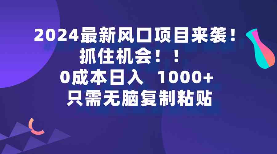 （9899期）2024最新风口项目来袭，抓住机会，0成本一部手机日入1000+，只需无脑复…,速发云资源网