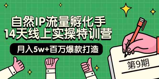 自然IP流量孵化手14天线上实操特训营【第9期】月入5w+百万爆款打造 (74节),速发云资源网