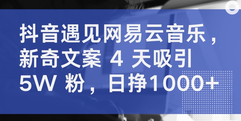抖音遇见网易云音乐，新奇文案 4 天吸引 5W 粉，日挣1000+,速发云资源网