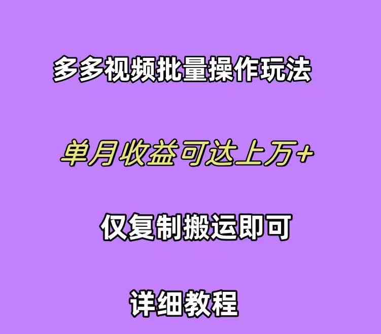 （10029期）拼多多视频带货快速过爆款选品教程 每天轻轻松松赚取三位数佣金 小白必…,速发云资源网