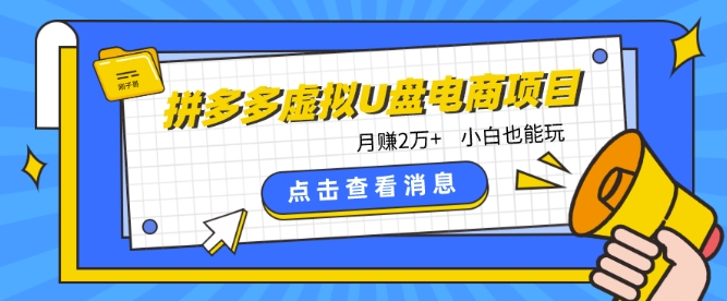 拼多多虚拟U盘电商红利项目：月赚2万+，新手小白也能玩,速发云资源网