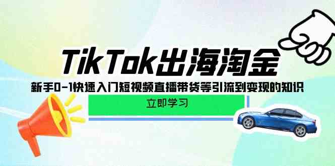 TikTok出海淘金，新手0-1快速入门短视频直播带货等引流到变现的知识,速发云资源网