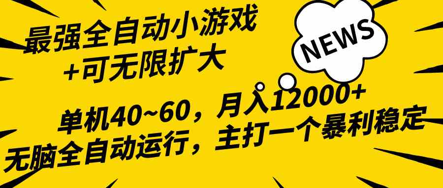 （10046期）2024最新全网独家小游戏全自动，单机40~60,稳定躺赚，小白都能月入过万,速发云资源网