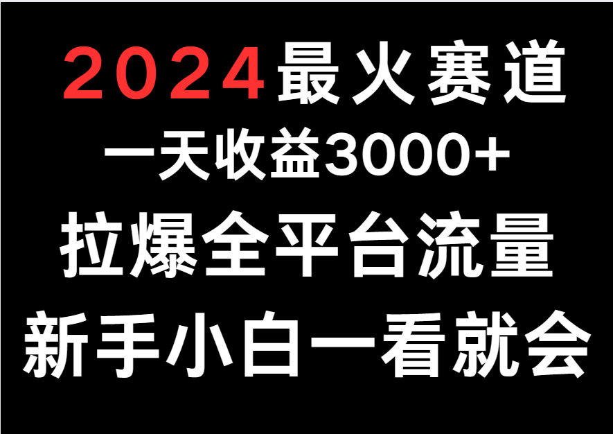 2024最火赛道，一天收一3000+.拉爆全平台流量，新手小白一看就会,速发云资源网