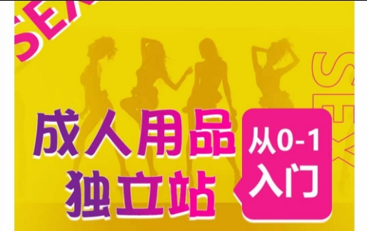 成人用品独立站从0-1入门，成品独立站运营全流程教学，七大好卖成品独立站推荐,速发云资源网