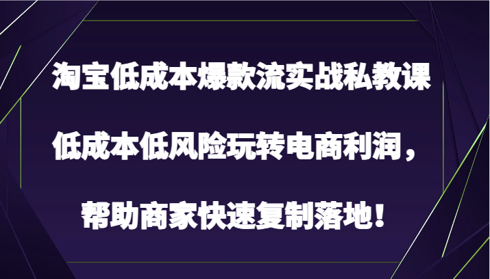 淘宝低成本爆款流实战私教课，低成本低风险玩转电商利润，帮助商家快速复制落地！,速发云资源网