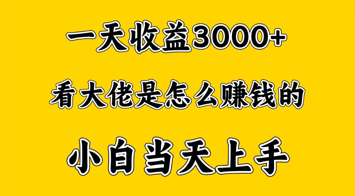 一天赚3000多，大佬是这样赚到钱的，小白当天上手，穷人翻身项目,速发云资源网