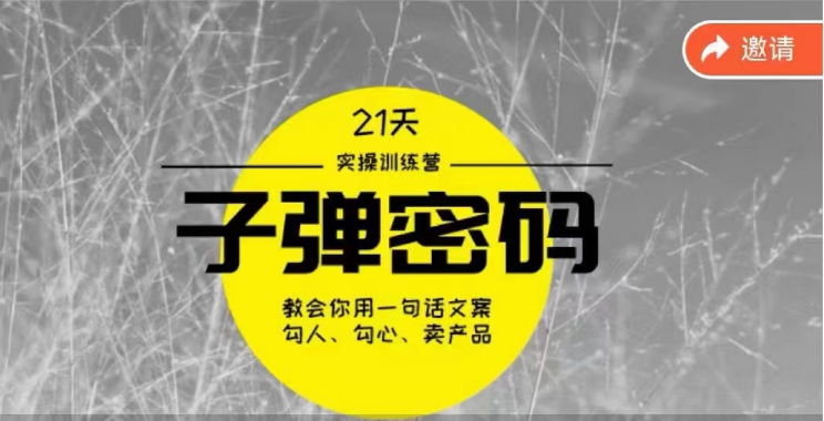 《子弹密码训练营》用一句话文案勾人勾心卖产品，21天学到顶尖文案大师策略和技巧,速发云资源网