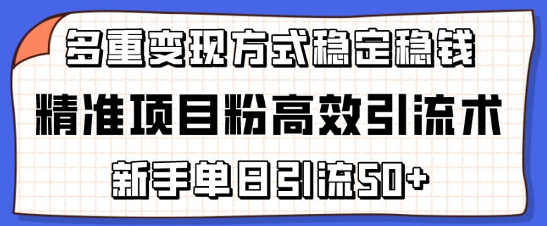 精准项目粉高效引流术，新手单日引流50+，多重变现方式稳定赚钱,速发云资源网