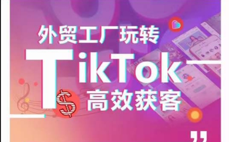 外贸工厂玩转TikTok高效获客，多种引流方式与账号定位技巧，拆解爆款短视频打造成功案例,速发云资源网