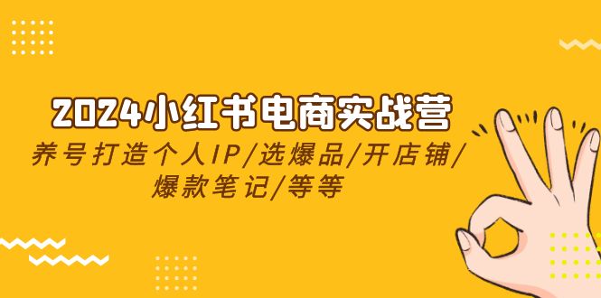 （10376期）2024小红书电商实战营，养号打造IP/选爆品/开店铺/爆款笔记/等等（24节）,速发云资源网
