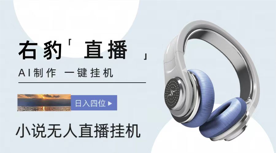 右豹小说无人直播挂机吸金项目，简单易行收益稳定， 月入1000+,速发云资源网