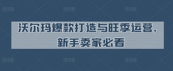 沃尔玛爆款打造与旺季运营，新手卖家必看,速发云资源网