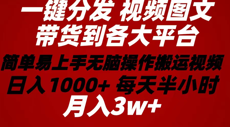 （10667期）2024年 一键分发带货图文视频  简单易上手 无脑赚收益 每天半小时日入1…,速发云资源网