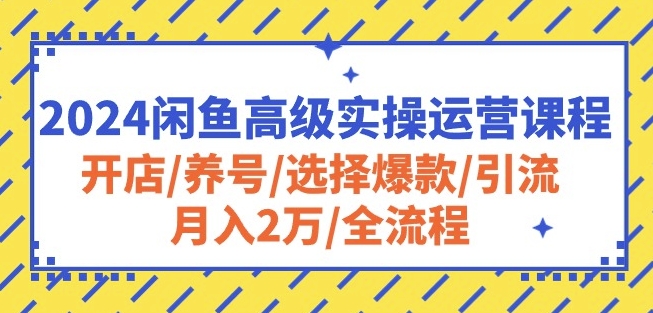 2024闲鱼高级实操运营课程：开店/养号/选择爆款/引流/月入2万/全流程,速发云资源网