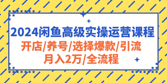 （10711期）2024闲鱼高级实操运营课程：开店/养号/选择爆款/引流/月入2万/全流程,速发云资源网