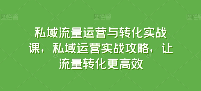 私域流量运营与转化实战课，私域运营实战攻略，让流量转化更高效,速发云资源网