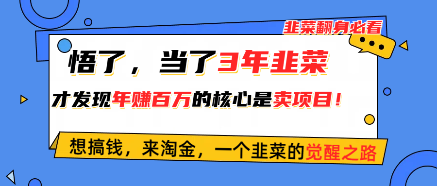 （10759期）悟了，当了3年韭菜，才发现网赚圈年赚100万的核心是卖项目，含泪分享！,速发云资源网