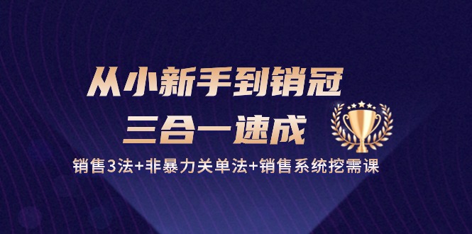 （10799期）从小新手到销冠 三合一速成：销售3法+非暴力关单法+销售系统挖需课 (27节),速发云资源网