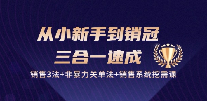 从小新手到销冠 三合一速成：销售3法+非暴力关单法+销售系统挖需课 (27节),速发云资源网