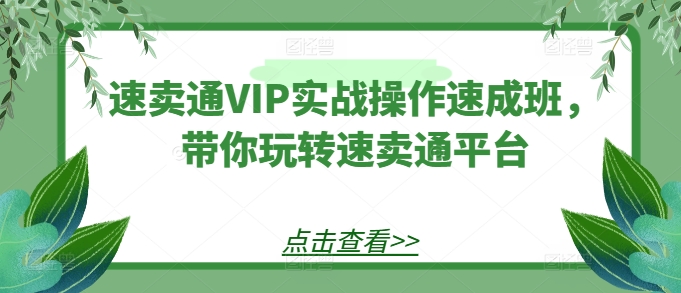 速卖通VIP实战操作速成班，带你玩转速卖通平台,速发云资源网