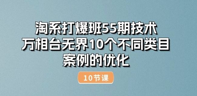 淘系打爆班55期技术：万相台无界10个不同类目案例的优化(10节),速发云资源网