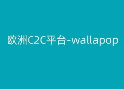 欧洲C2C平台-wallapop-kim跨境电商教程,速发云资源网