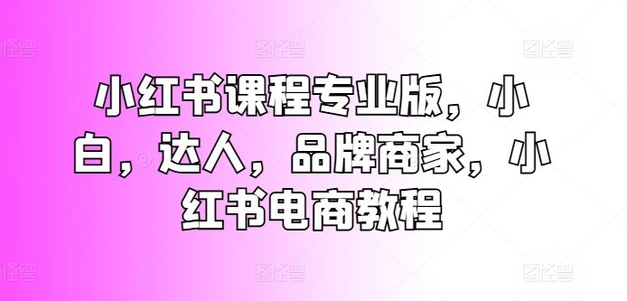 小红书课程专业版，小白，达人，品牌商家，小红书电商教程,速发云资源网