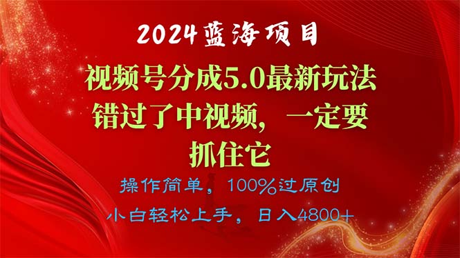（11032期）2024蓝海项目，视频号分成计划5.0最新玩法，错过了中视频，一定要抓住…,速发云资源网