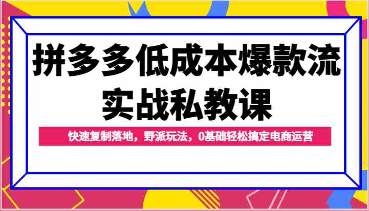 拼多多低成本爆款流实战私教课，快速复制落地，野派玩法，0基础轻松搞定电商运营,速发云资源网