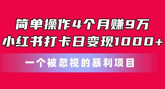 简单操作4个月赚9w，小红书打卡日变现1k，一个被忽视的暴力项目【揭秘】,速发云资源网