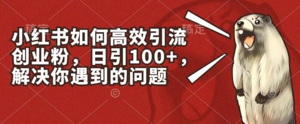 小红书如何高效引流创业粉，日引100+，解决你遇到的问题【揭秘】,速发云资源网