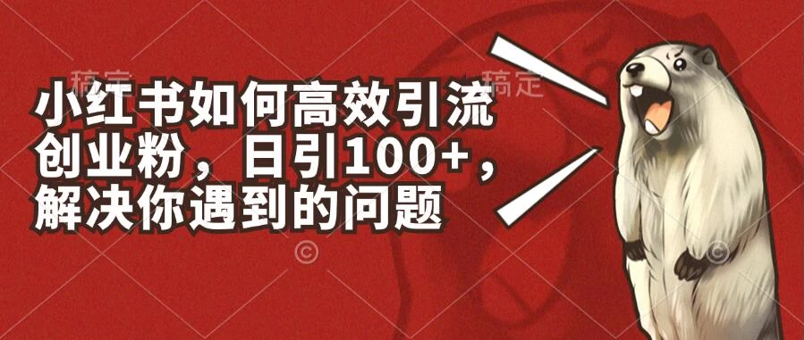 小红书如何高效引流创业粉，日引100+，解决你遇到的问题,速发云资源网