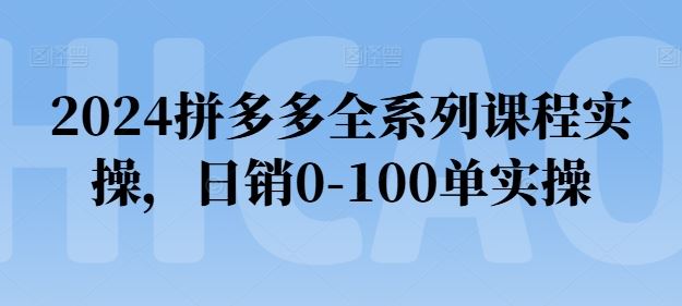 2024拼多多全系列课程实操，日销0-100单实操【必看】,速发云资源网