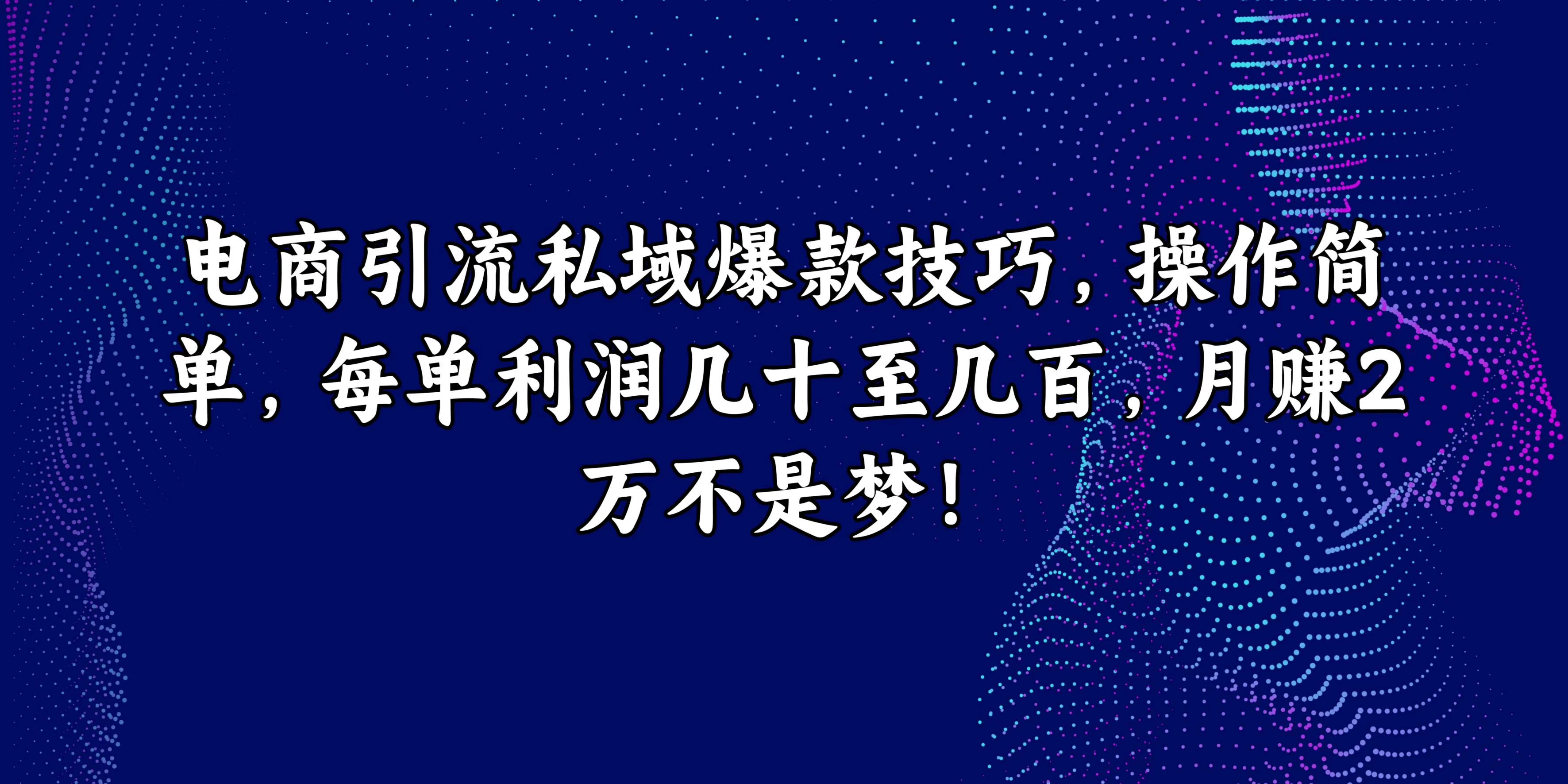 电商引流私域爆款技巧，操作简单，每单利润几十至几百，月赚2万不是梦！,速发云资源网