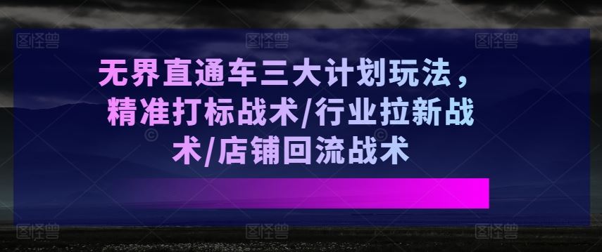 无界直通车三大计划玩法，精准打标战术/行业拉新战术/店铺回流战术,速发云资源网