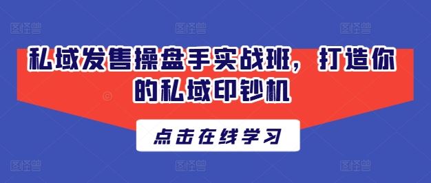 私域发售操盘手实战班，打造你的私域印钞机,速发云资源网