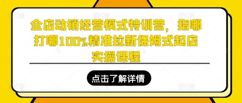 全店动销经营模式特训营，指哪打哪100%精准拉新保姆式起店实操课程,速发云资源网