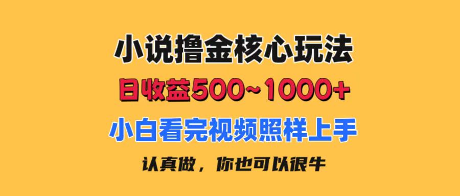 （11461期）小说撸金核心玩法，日收益500-1000+，小白看完照样上手，0成本有手就行,速发云资源网