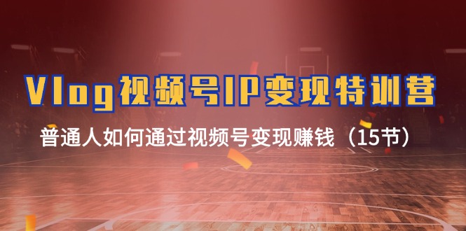 Vlog视频号IP变现特训营，普通人如何通过视频号变现赚钱（15节）,速发云资源网