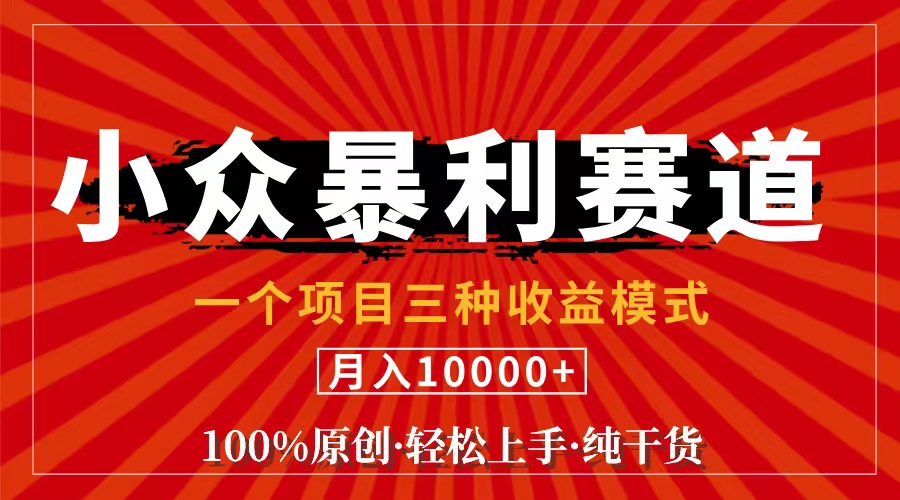 （11695期）视频号【中老年粉深信不疑】小众赛道 100%原创 手把手教学 新号3天收益…,速发云资源网