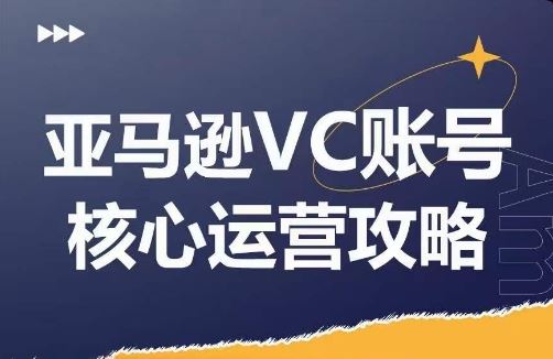 亚马逊VC账号核心玩法解析，实战经验拆解产品模块运营技巧，提升店铺GMV，有效提升运营利润,速发云资源网