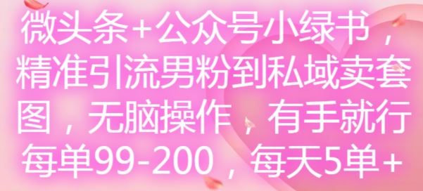 微头条+公众号小绿书，精准引流男粉到私域卖套图，无脑操作，有手就行，每单99-200，每天5单,速发云资源网