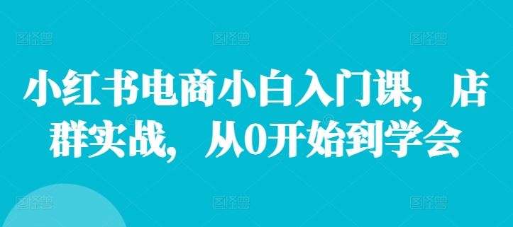 小红书电商小白入门课，店群实战，从0开始到学会,速发云资源网