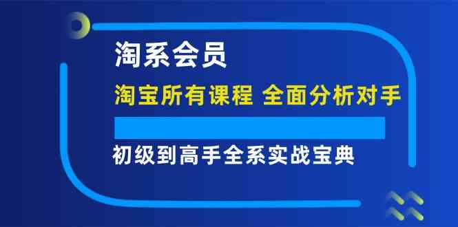 淘系会员初级到高手全系实战宝典【淘宝所有课程，全面分析对手】,速发云资源网