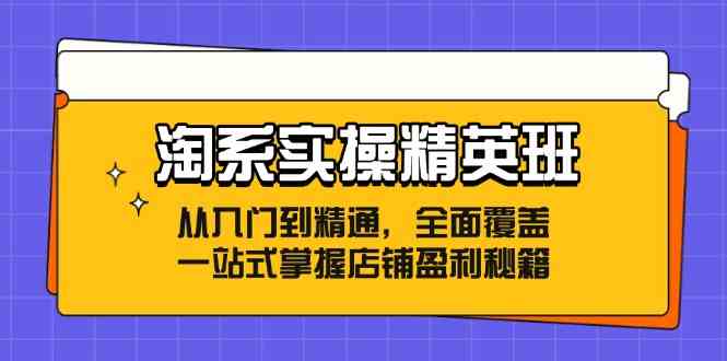 淘系实操精英班：从入门到精通，全面覆盖，一站式掌握店铺盈利秘籍,速发云资源网