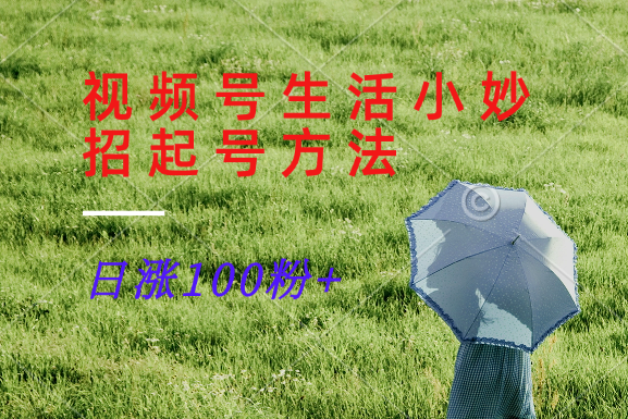 视频号生活小妙招分享赛道， 起号涨粉新方法，日涨100粉,速发云资源网